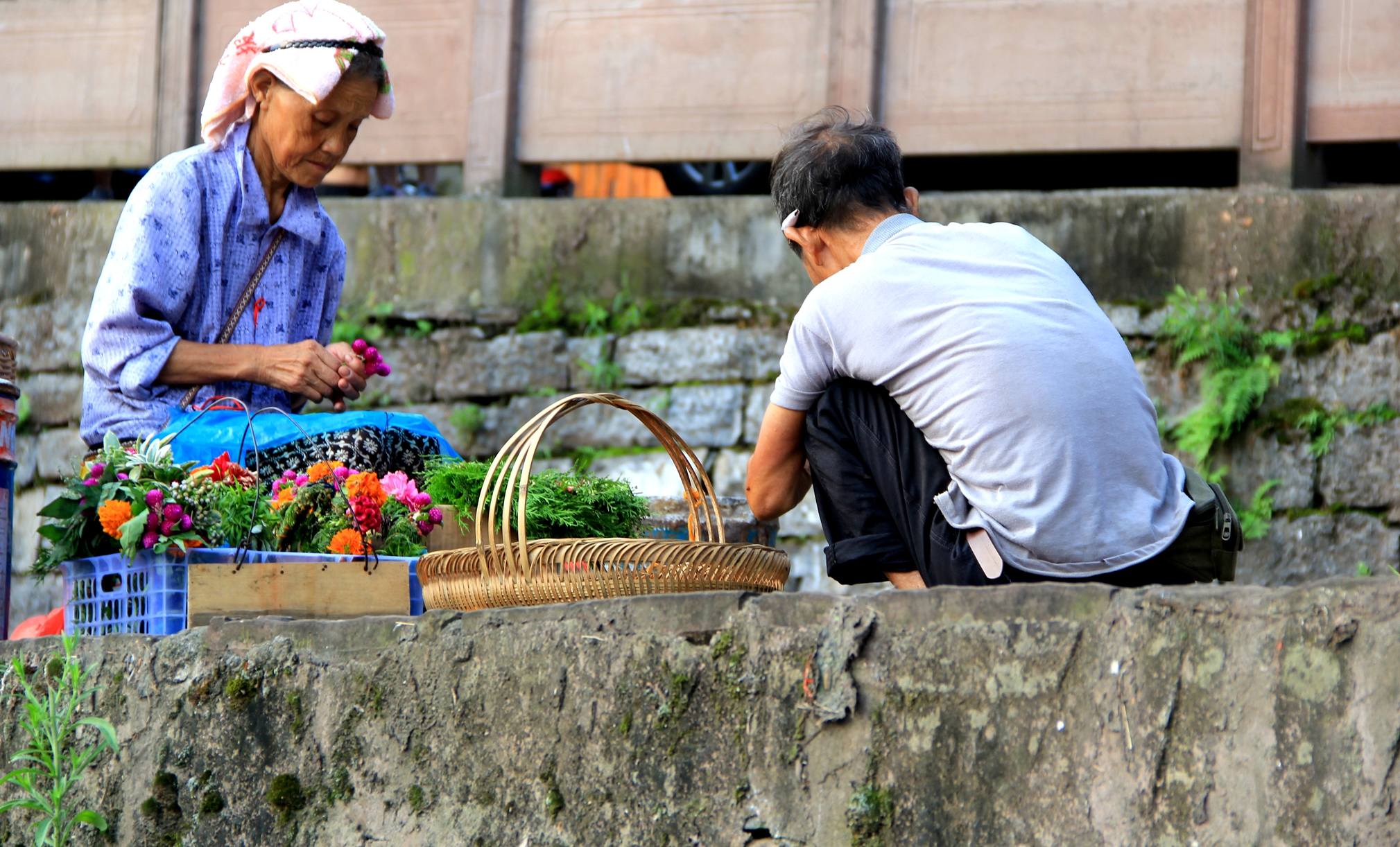 “百搭君”豆角